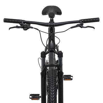 Превью  Велосипед WELT Ranger 1.0 29 (2025)